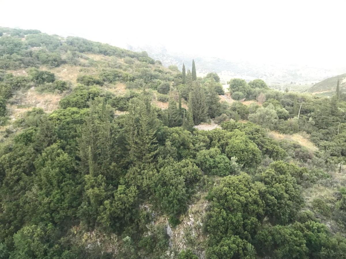 הימארה Eleni'S Holiday Rooms מראה חיצוני תמונה